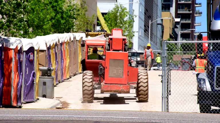 Professional Tree Removal in Tonopah, NV